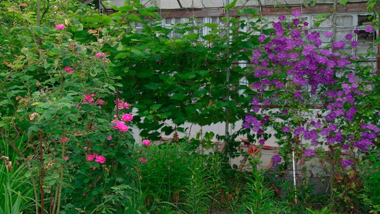 Комунікації