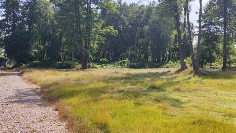 Форма ділянки